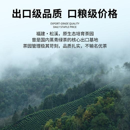 【魔造】2026年绿茶明前绿茶100g 商品图1