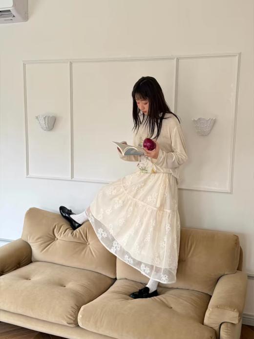 nothe Case布然/NC261809/「花影旅行」浪漫双层 重工立体绣花A摆 半身蛋糕纱裙 商品图2