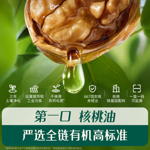 【内享汇】英氏采智有机核桃油 商品图1