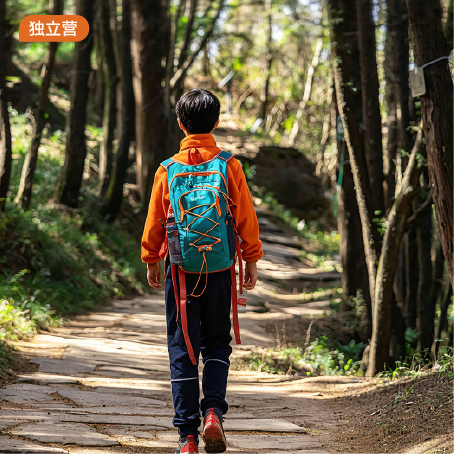 独立营 | 大蜀道全程穿越10天9晚·2026夏令营