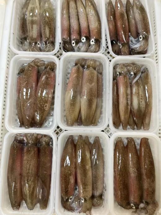 满膏的带籽母管鱿鱼，饱满肥美！东山岛必吃的招牌海鲜！清蒸白灼红烧爆炒干煎，美味极了 商品图2