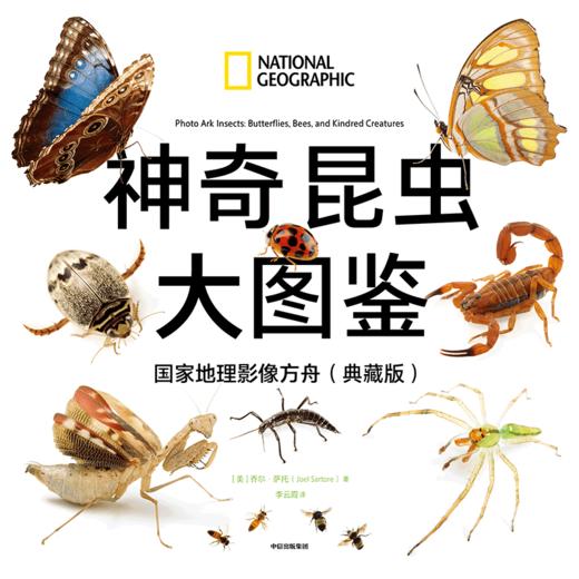 中信出版 | 神奇昆虫大图鉴·国家地理影像方舟（典藏版） 商品图2