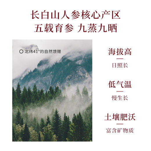 元气小树牛磺酸红参血肽发酵饮 商品图3