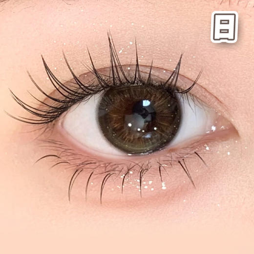 #镜面黑咖 黑棕 14.2mm 8.5基弧【10片装】国产精品 / 日抛 商品图2