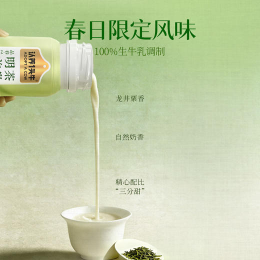 认养一头牛 明前龙井茶乳 190g*10 1箱装/2箱装 商品图3