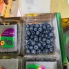 品牌云南纯甜蓝莓十二合一15+中果顺丰包邮*1.5kg 商品缩略图0