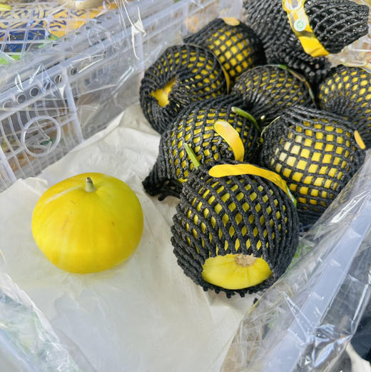 马连庄鎏金蜜瓜 商品图3