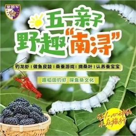【亲子营】五一“南浔”野趣 | 钓龙虾、做鱼皮鼓、采桑葚、认养蚕宝、桑蚕游戏