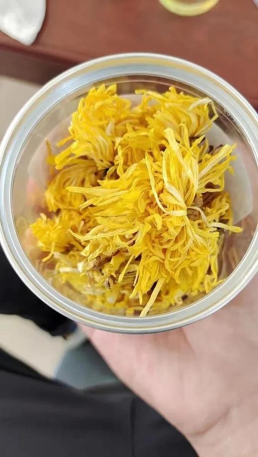 杞里香金丝皇菊  26Y04052- 商品图13