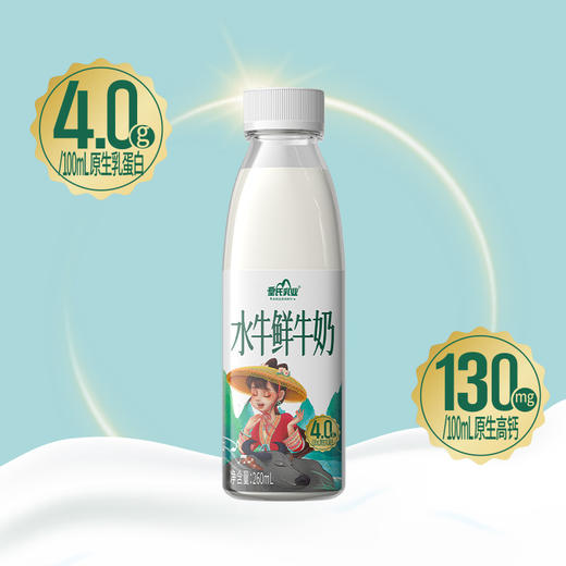 皇氏乳业水牛鲜牛奶 低温水牛鲜奶260ml*12瓶 4.0g蛋白质 顺丰包邮 商品图2