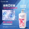 清扬洗发露500克/300克 商品缩略图0