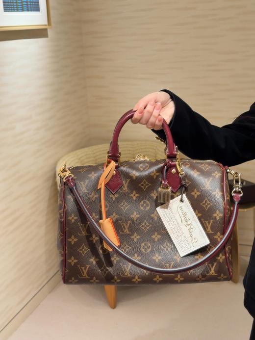 驴家 SPEEDY 30 SOFT CELEBRATION 手袋手提包枕头包 商品图2