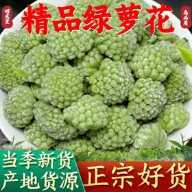 【买二送一❗️19.8/3罐装🔥绿萝花茶】居家养生饮品，自然晾晒保留本味，花型饱满无杂质，冲泡汤色清亮，适配泡水、搭配茶饮，带来自然清香体验，中老年人养生花茶，男女熬夜疲劳养生茶泡水L