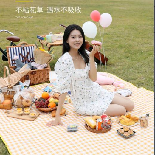 优美居200*200cm多用野餐垫5504 商品图1