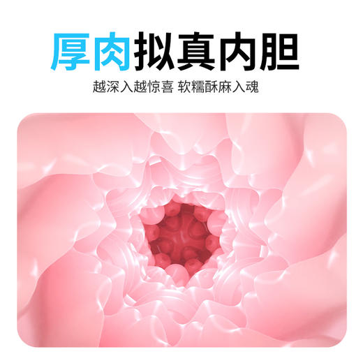 【评测展示】谜姬白米X飞机杯 商品图5