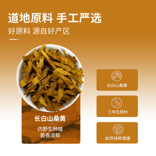 黄之皇长白山桑黄茶礼盒180g 商品图1
