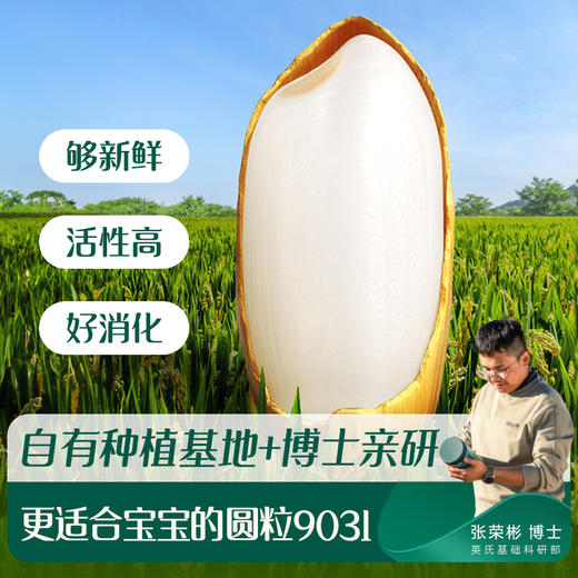 【内享汇】英氏多乐能1阶维C加铁米粉258g（原味/益生元/DHA+ARA） 商品图4