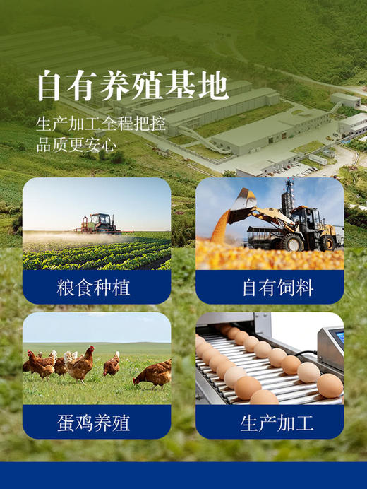 MM 山姆 流沙麻酱鸡蛋 20‘S 1kg 商品图4