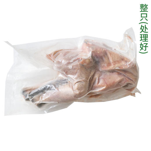 跑山健身-童子鸡 散养在昆嵛山林里，日常在林子里吃虫草之外，吃粮食、豆粕发酵的混合物，吃粮食长大的鸡，一整年都不会生病，不用喂药，身体也很棒⭐️顺丰快递 商品图4