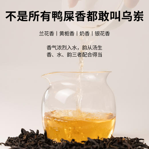 【魔造】乌岽鸭屎香42g 商品图2