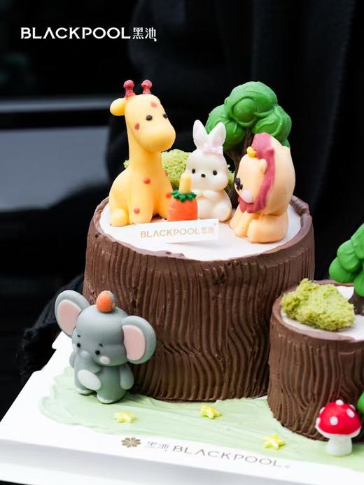 动物派对 |  黑池 商品图2