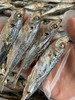 xm下饭神器！高蛋白，耐储存！家常必备巴浪鱼干，下酒、配粥、炒菜、零食，一包搞定！肉厚刺少，越嚼越香！ 商品缩略图2
