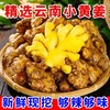 【超值❗️19.9抢5斤🔥云南小黄姜】现挖新姜，姜味浓郁，辛辣十足，浓郁芳香，做菜更鲜美！生姜沙姜鲜姜嫩姜芽仔新鲜子干姜 商品缩略图1