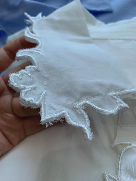 品质货！无补！JN同款剪纸工艺花边刺绣领衬  26Y04046- 商品图8