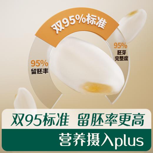 【内享汇】英氏采智有机胚芽米  245g（35g*7） 商品图5