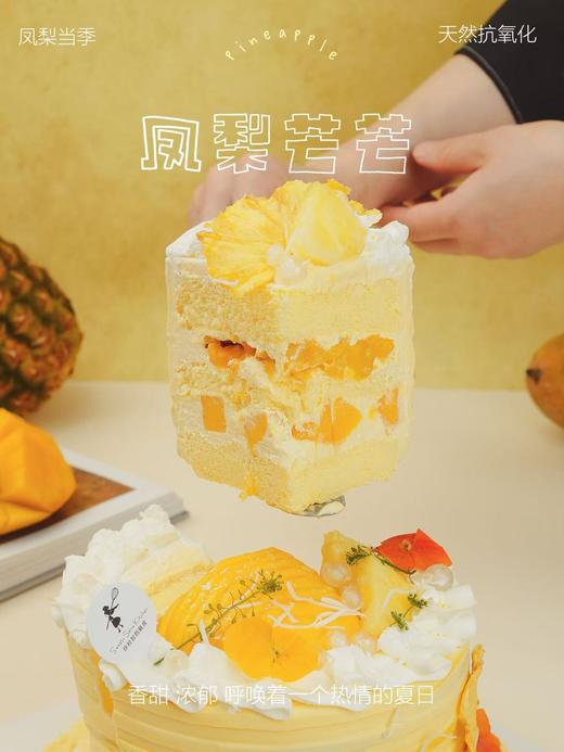 凤梨芒芒 商品图7