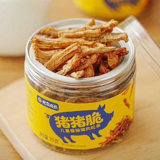 光合成长猪猪脆 香脆猪肉松条 非油炸低温慢烤 下午茶/追剧零食 70克/瓶 商品图1