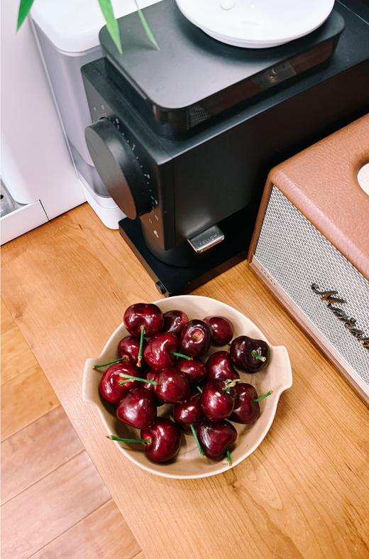 「樱桃来噜～」大连美早樱桃 2J3J4J5J6J 陆续更新品种中 商品图4