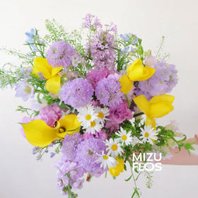 / 明媚的时光 /（今日现花）