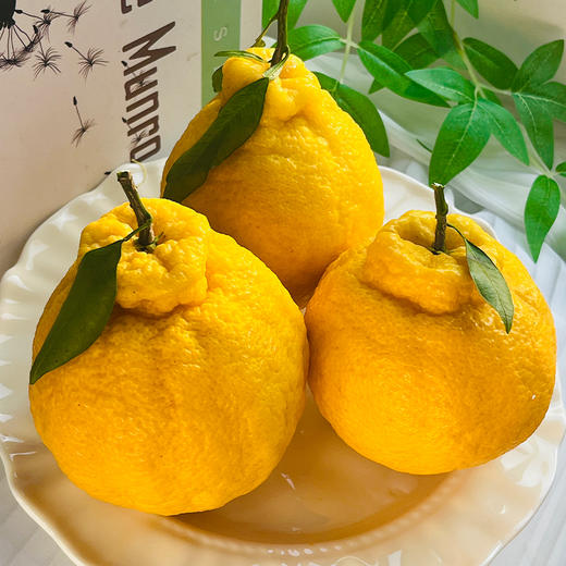 【疯狂星期五】产地直发 柠檬不知火 多规格彩箱装 商品图3