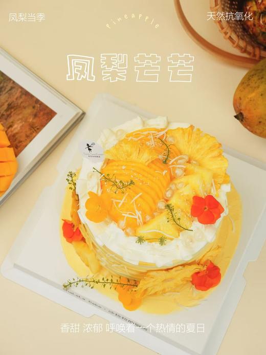凤梨芒芒 商品图2