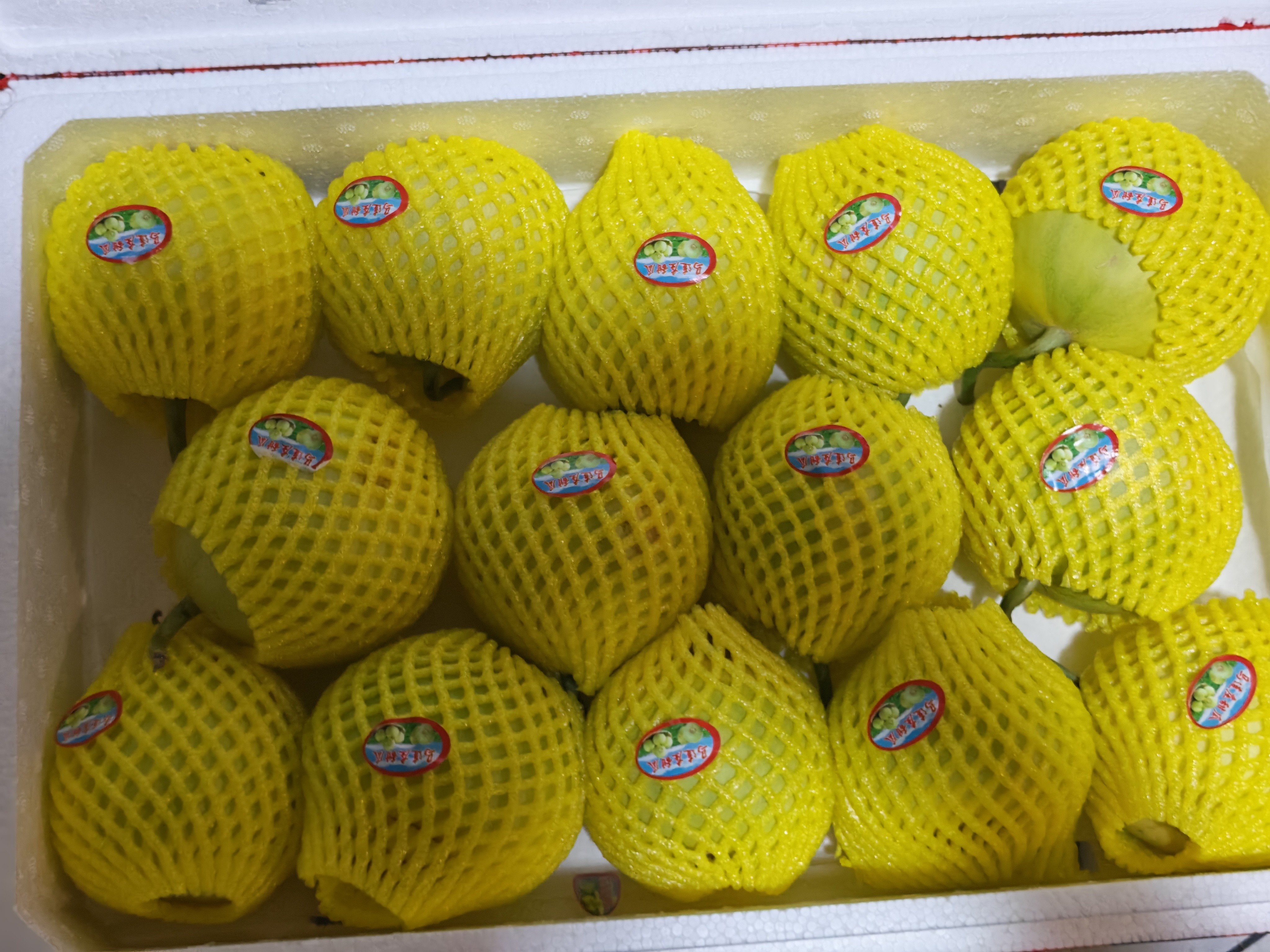 马连庄甜瓜（领秀店）