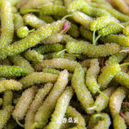 四川大凉山桑葚 长绿柳青/金香 甜甜奶油味 商品图1