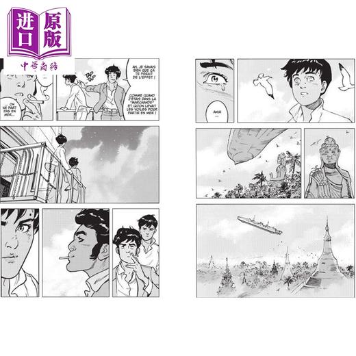 预售 【中商原版】【法文版】法漫 黑天鹅之歌 星之城堡续集 法国漫画家Alex Alice 太空海盗 Le Chant du Cygne Noir 商品图3