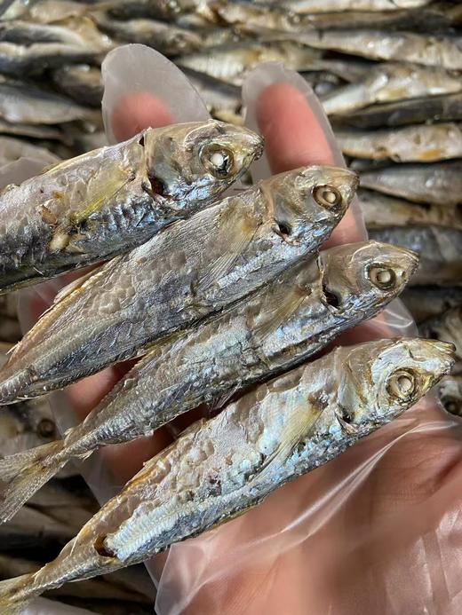 xm下饭神器！高蛋白，耐储存！家常必备巴浪鱼干，下酒、配粥、炒菜、零食，一包搞定！肉厚刺少，越嚼越香！ 商品图1