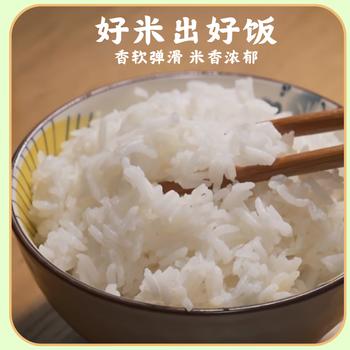 伴永康梯香大米10斤  长粒籼米 大米  煲仔饭  当季新米 囤货装 /粮油调味 /米 /丝苗米 商品图5