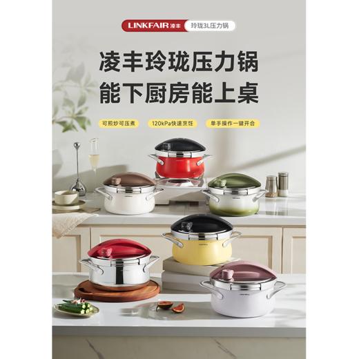 凌丰3L玲珑三层钢压力锅LFDPC-LL30-BROWN（下单请备注颜色） 商品图1