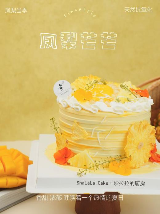 凤梨芒芒 商品图5