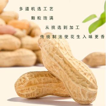 品贯天府咸干花生800g 颗粒饱满 四川特产休闲下酒零食烘炒小吃  /粮油调味 /南北干货 /干菜类 商品图1