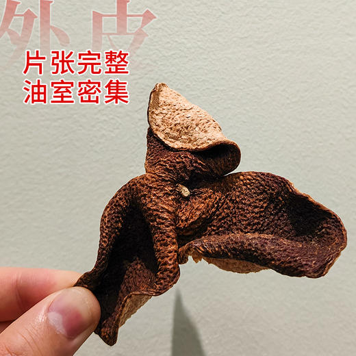 春之秘语丨新会陈皮 梅江 2019年陈化 100g 买2罐配礼品手提袋 商品图1