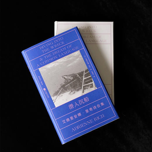 潜入沉船：艾德里安娜·里奇诗合集 商品图2