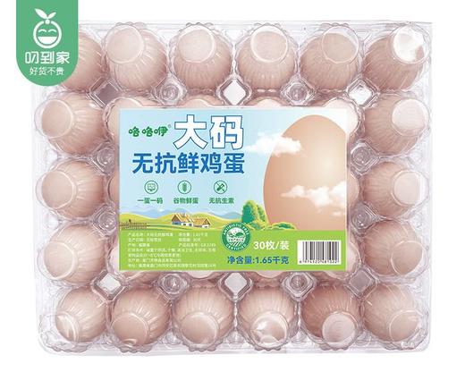 咯咯咿大码无抗鲜鸡蛋/1盒（30枚，共约1.65kg） 商品图4