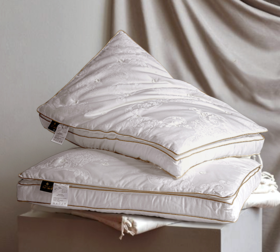 钱皇·桑蚕丝睡眠亲肤云朵枕 | 100%桑蚕丝上层填充+高弹杜邦纤维下层填充，如被云端包裹