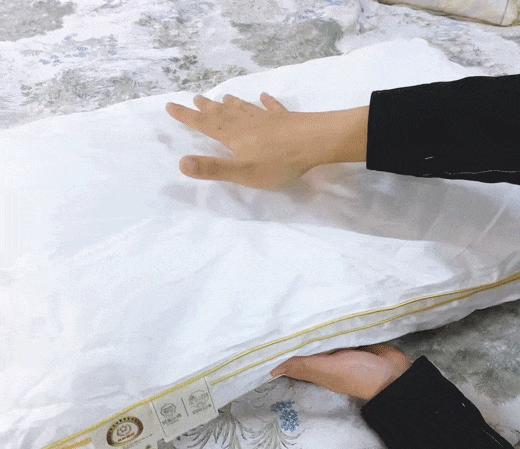 钱皇·桑蚕丝睡眠亲肤云朵枕 | 100%桑蚕丝上层填充+高弹杜邦纤维下层填充，如被云端包裹 商品图1