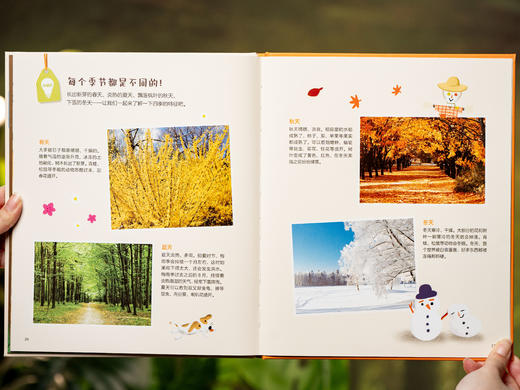 《出发吧！科学特工队》精美礼盒（全43册）|畅销10年获奖无数，3-8岁科普启蒙的“金招牌”，500+知识点，1000+精美图片，孩子开拓视野、认知提升、多维启蒙一步到位 商品图5