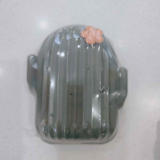 Dc141仙人掌沥水肥皂盒 商品图0